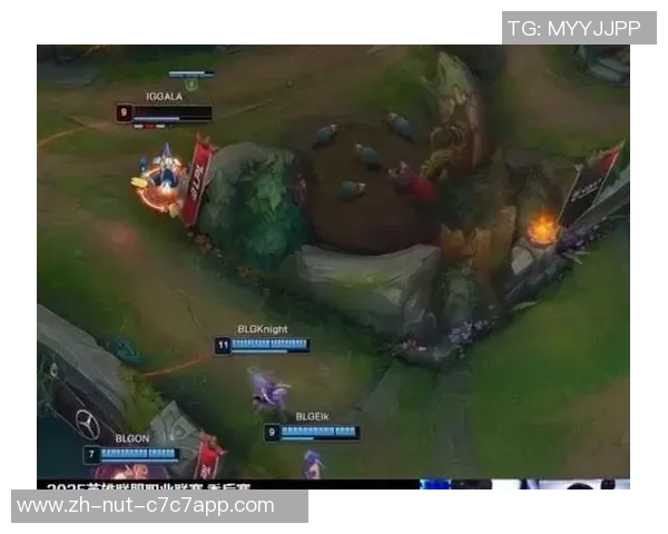 英雄联盟盛宴：深入解析BLG战队的实力与战术魅力