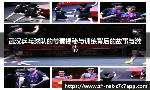 c7娱乐