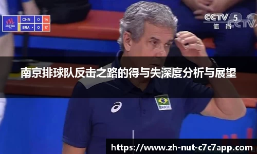 南京排球队反击之路的得与失深度分析与展望